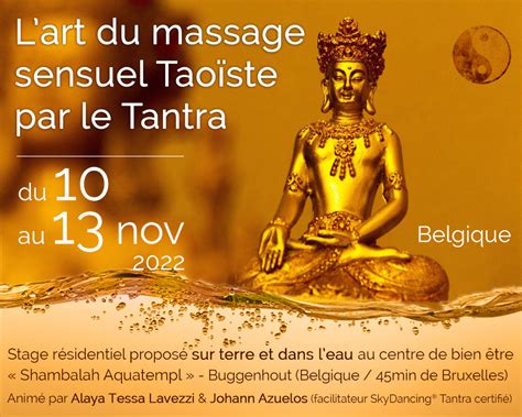 massage dijon centre ville|L’Art du Massage – pour un bien